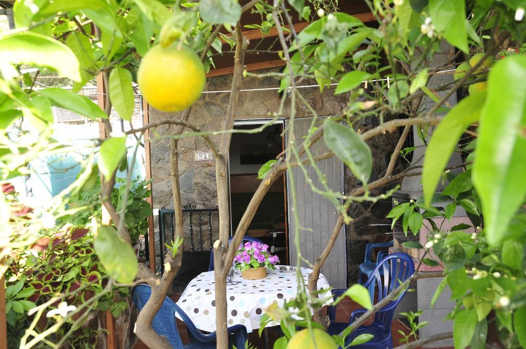 Apartamentos Buen Leon Playa de Tasarte Екстер'єр фото